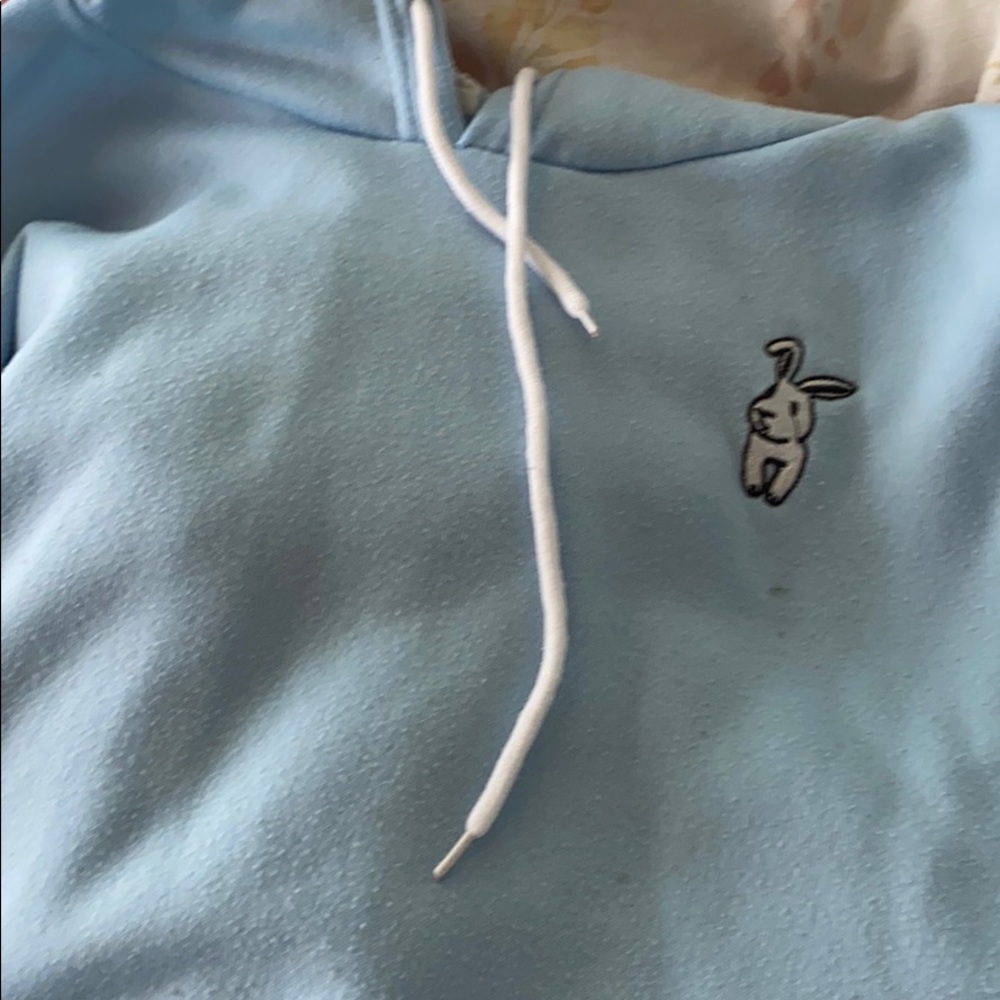 baby blue bunny hoodie